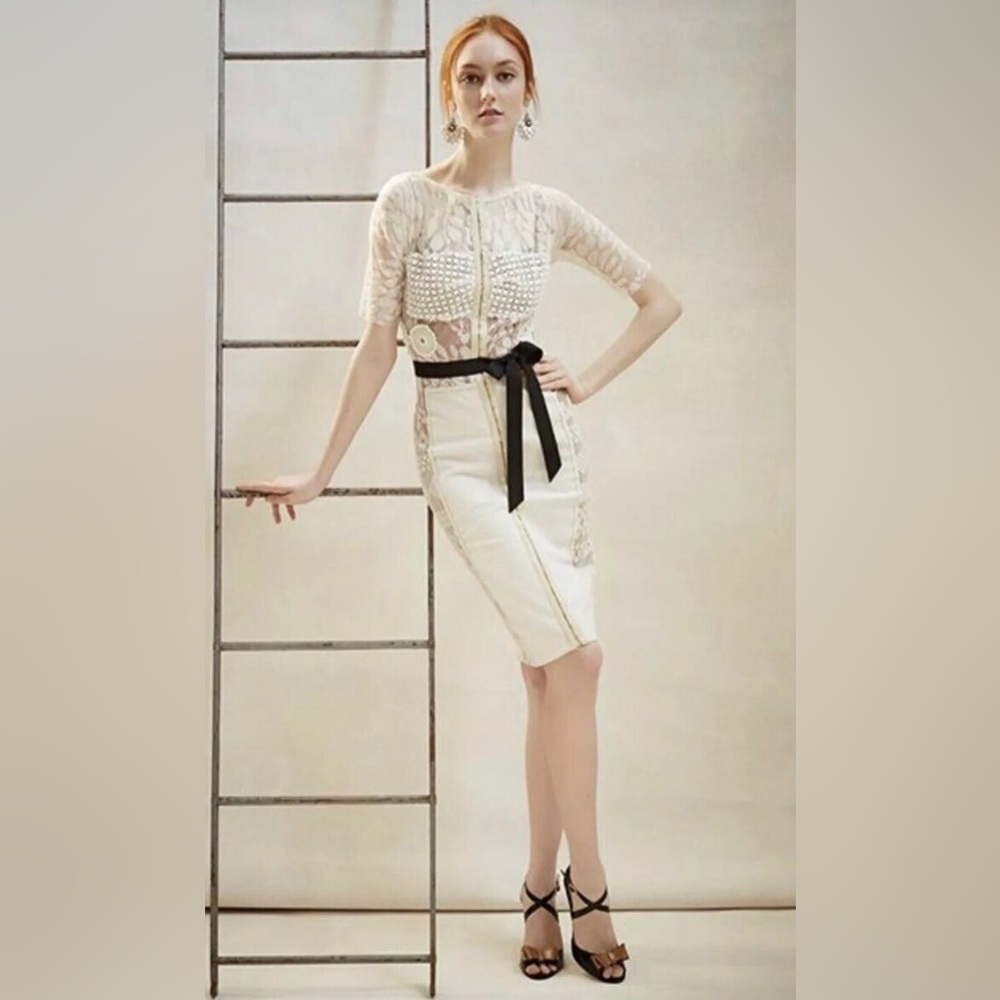 Byron Lars Anthropologie Carissima sheath dress Size 10